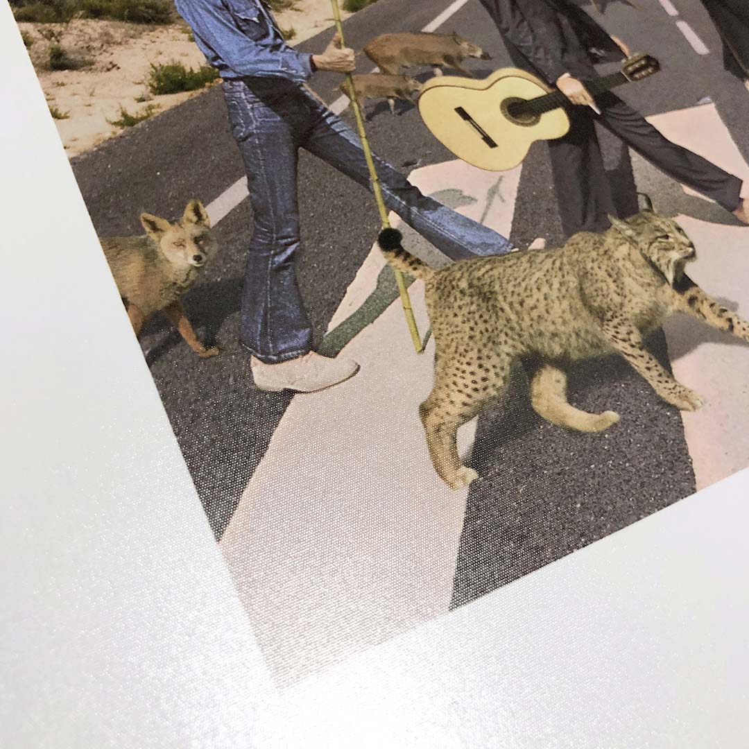 Peregrinos Extranjeros 2021 (Animalillos)