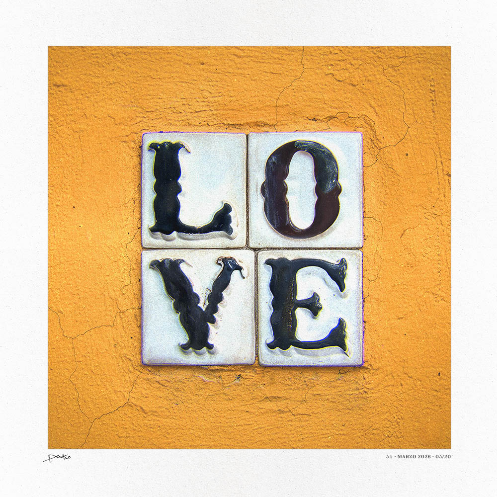 LOVE (y'all)
